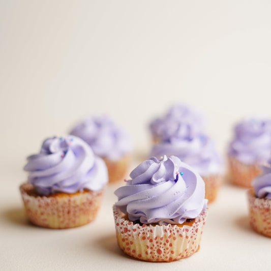 Blueberry Cupcake Box